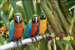 Captura de pantalla 2025-08-10 a la(s) 5.12.15 p. m. 1