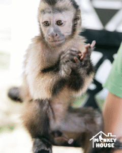 Captura de pantalla 2025-08-15 a la(s) 8.53.08 p. m.