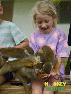 Captura de pantalla 2025-08-16 a la(s) 12.23.05 p. m.