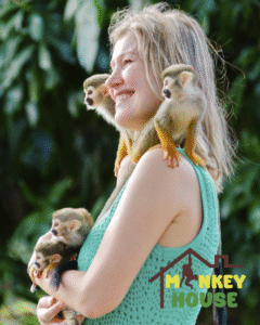 Captura de pantalla 2025-08-16 a la(s) 12.23.34 p. m.