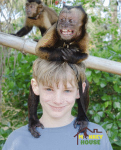 Captura de pantalla 2025-08-16 a la(s) 12.24.24 p. m.